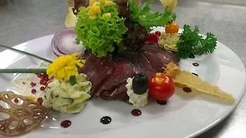 Landhotel Dresden 3* דרזדן