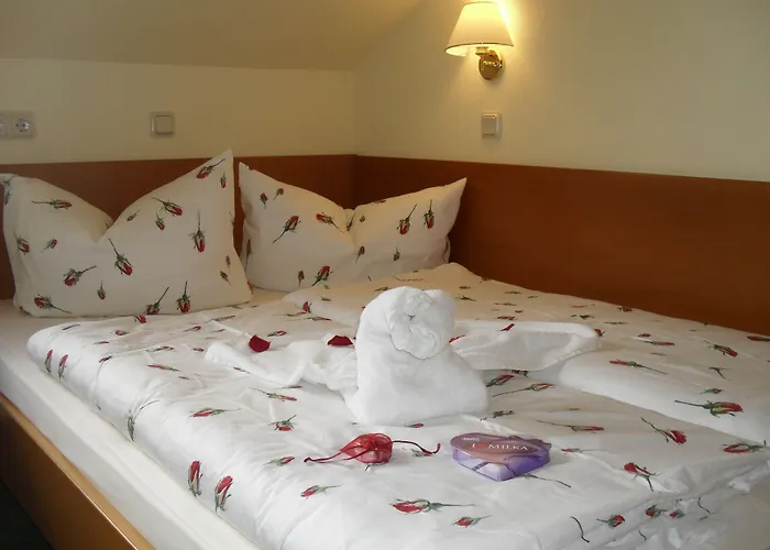 Landhotel Dresden 3* דרזדן